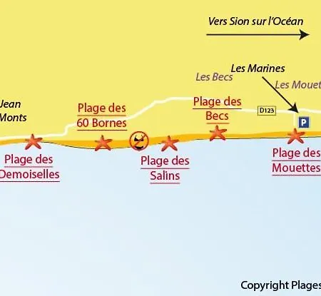 Aux Mouettes Les Pieds Dans L'eau Acces Direct A La Place 5 Personnes