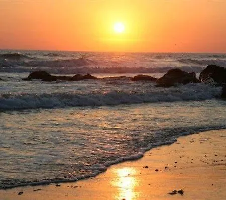 Aux Mouettes Les Pieds Dans L'eau Acces Direct A La Place 5 Personnes *