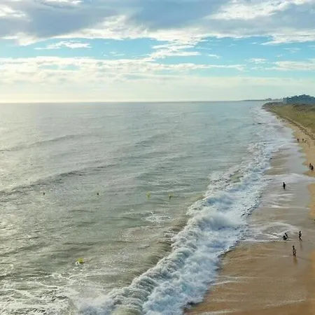 Aux Mouettes Les Pieds Dans L'eau Acces Direct A La Place 5 Personnes *