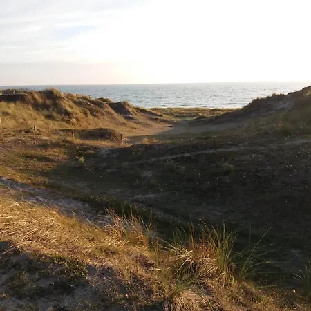 Aux Mouettes Les Pieds Dans L'eau Acces Direct A La Place 5 Personnes 아파트