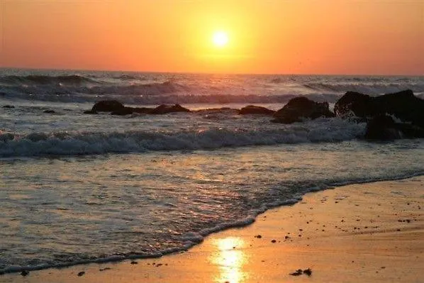 Aux Mouettes Les Pieds Dans L'eau Acces Direct A La Place 5 Personnes *