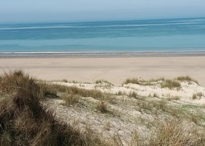 Aux Mouettes Les Pieds Dans L'eau Acces Direct A La Place 5 Personnes