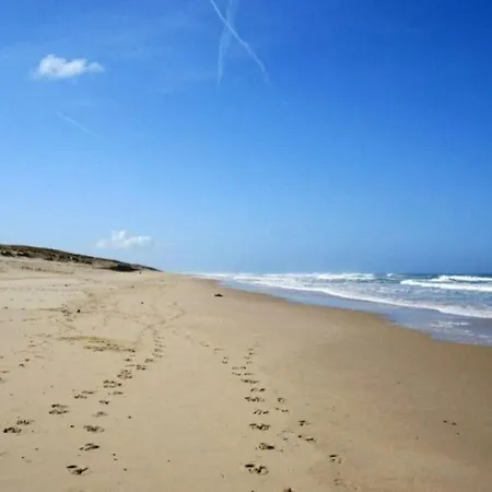 Apartment Aux Mouettes Les Pieds Dans L'eau Acces Direct A La Place 5 Personnes *
