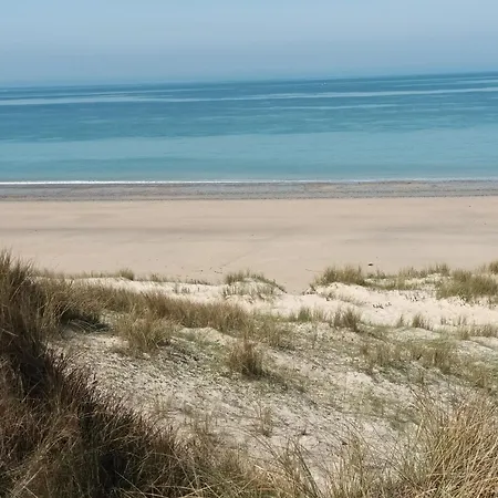Aux Mouettes Les Pieds Dans L'eau Acces Direct A La Place 5 Personnes
