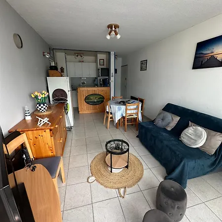 Aux Mouettes Les Pieds Dans L'eau Acces Direct A La Place 5 Personnes