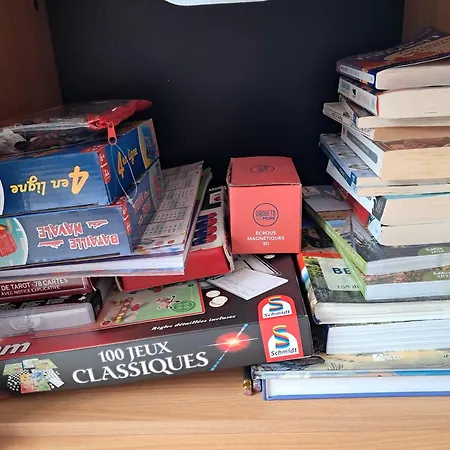 Aux Mouettes Les Pieds Dans L'eau Acces Direct A La Place 5 Personnes