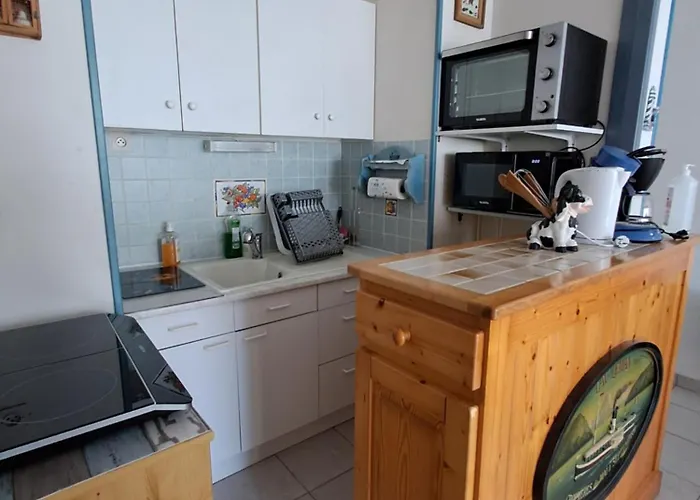 公寓 Aux Mouettes Les Pieds Dans L'eau Acces Direct A La Place 5 Personnes 圣伊莱尔·德列