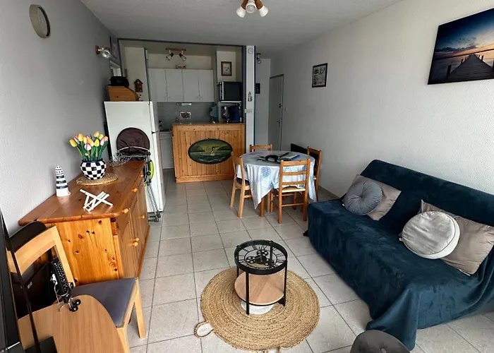 Aux Mouettes Les Pieds Dans L'eau Acces Direct A La Place 5 Personnes